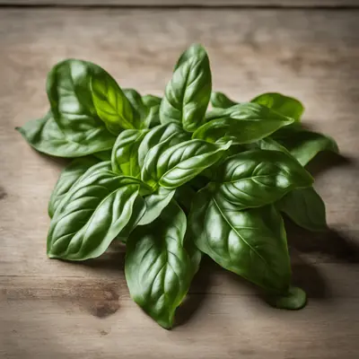 Genovese Basil