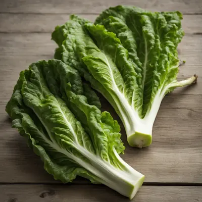 Romaine Lettuce