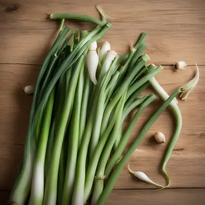 Scallion
